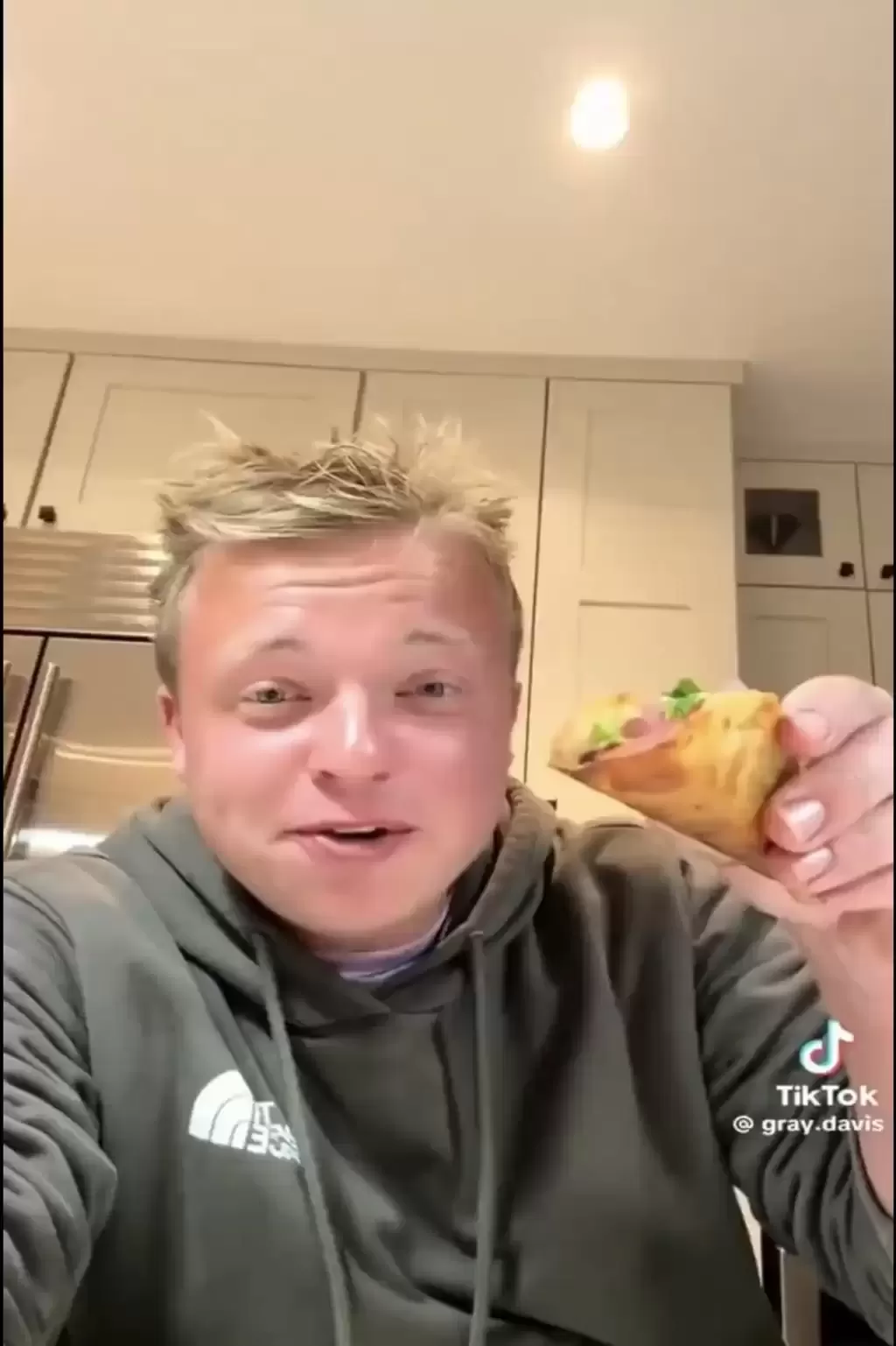 美洲绿鬣蜥｜“树上鸡肉”冻僵跌落地 居民煎皮拆骨做塔可饼