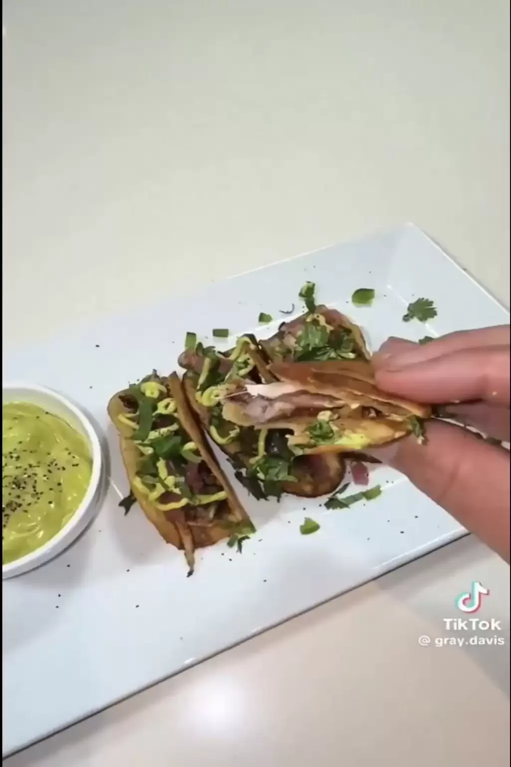 美洲绿鬣蜥｜“树上鸡肉”冻僵跌落地 居民煎皮拆骨做塔可饼