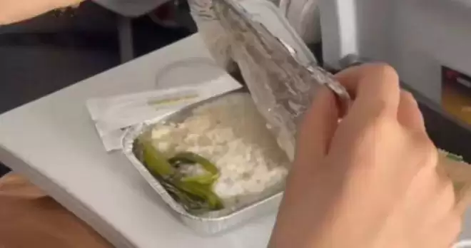 吐槽飞机餐“一根青菜配米饭”上热搜！当事人揭真相