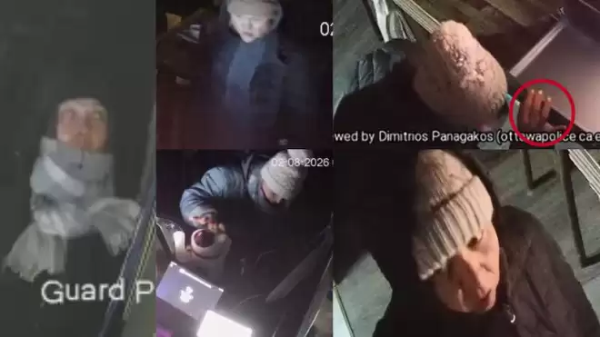 7天5次破门！渥太华中餐厅被疯狂盯上强闯，老板崩溃