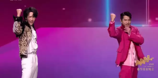 众星春晚镜头太真实！王菲撞脸潘虹，热巴圆润发福