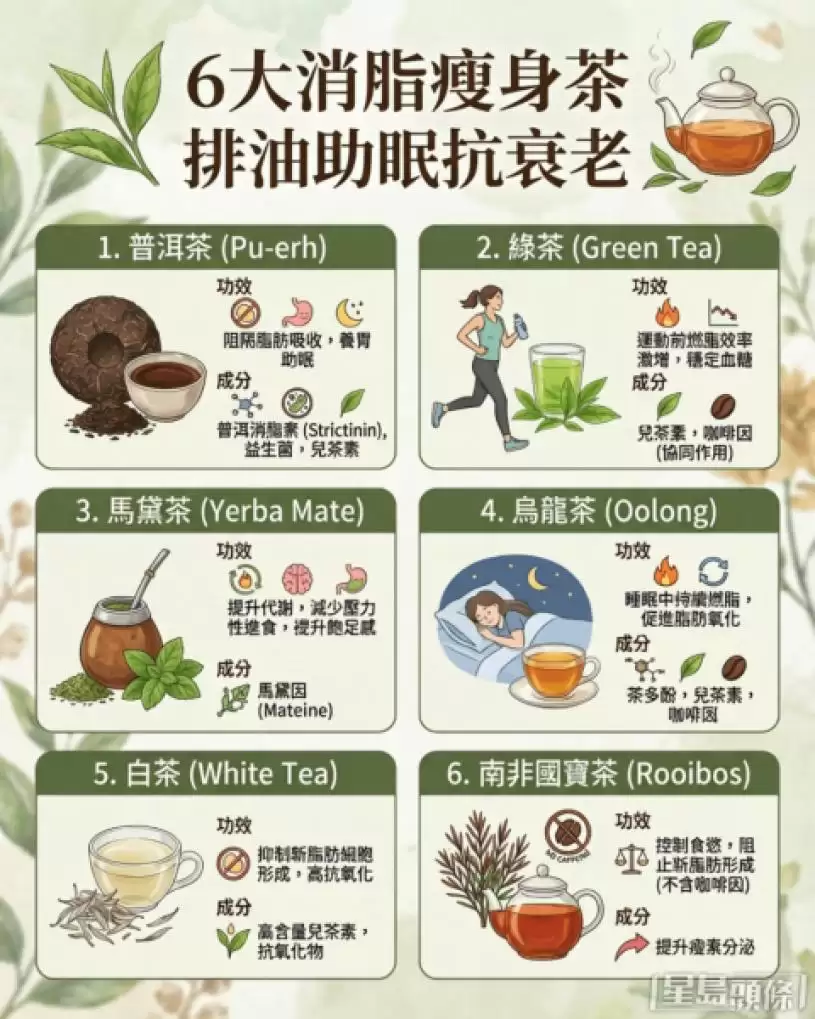 饮乌龙茶睡觉也燃脂！营养师推介6款消脂瘦身茶 轻松排油、助眠兼抗衰老