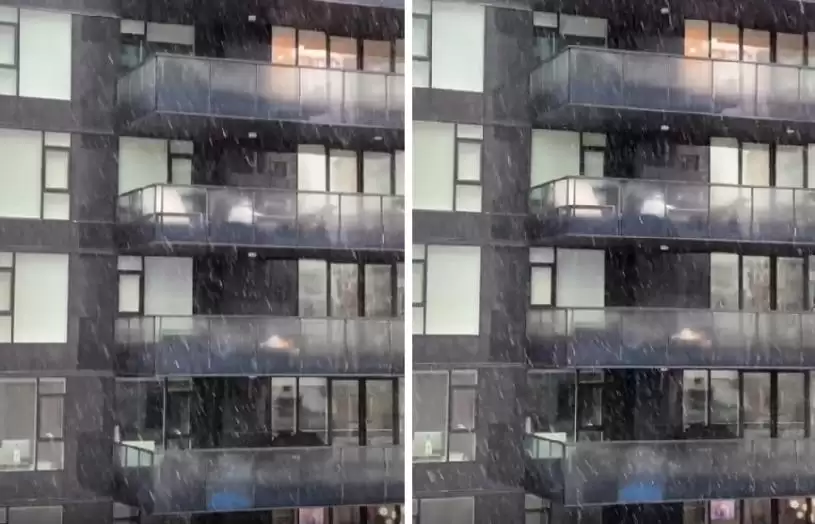 温哥华下了今年首雪  留学生兴奋拍片分享“人生第一次看到雪”