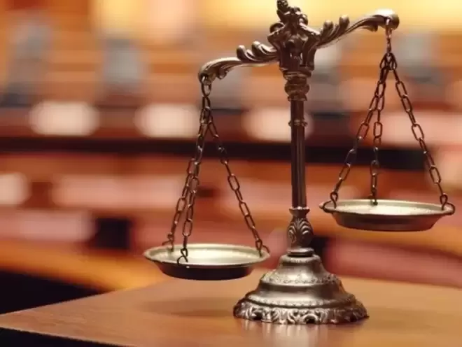 两华人试图将安省被盗汽车走私运往中国：房产被没收充公