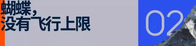 苏翊鸣：金牌与眼泪背后，“紫色蝴蝶”的商业版图