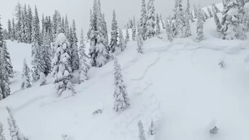 卑诗内陆雪地摩托车手爬坡触发雪崩  另一人被活埋