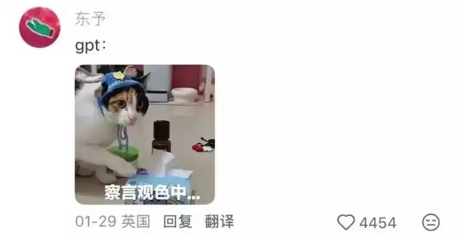 “走路去洗车”热帖离谱刷屏 人类头一回被耍得这么惨