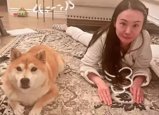 郑爽过年期间频繁晒自拍，一脸憔悴配乐伤感