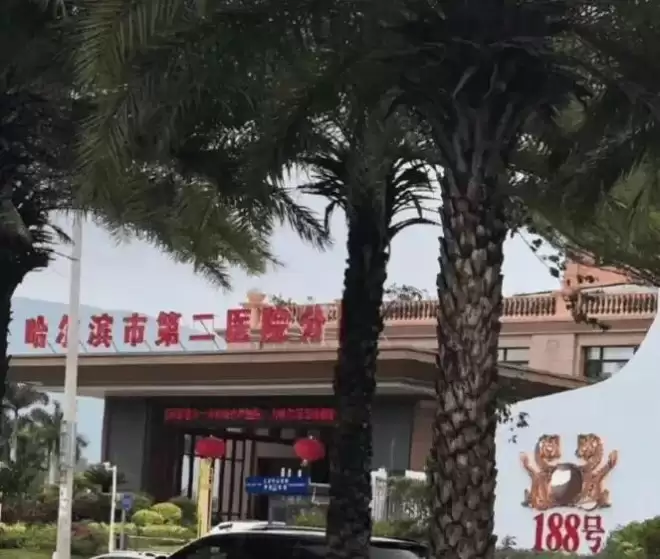 中国东北人的宿命：离开东北