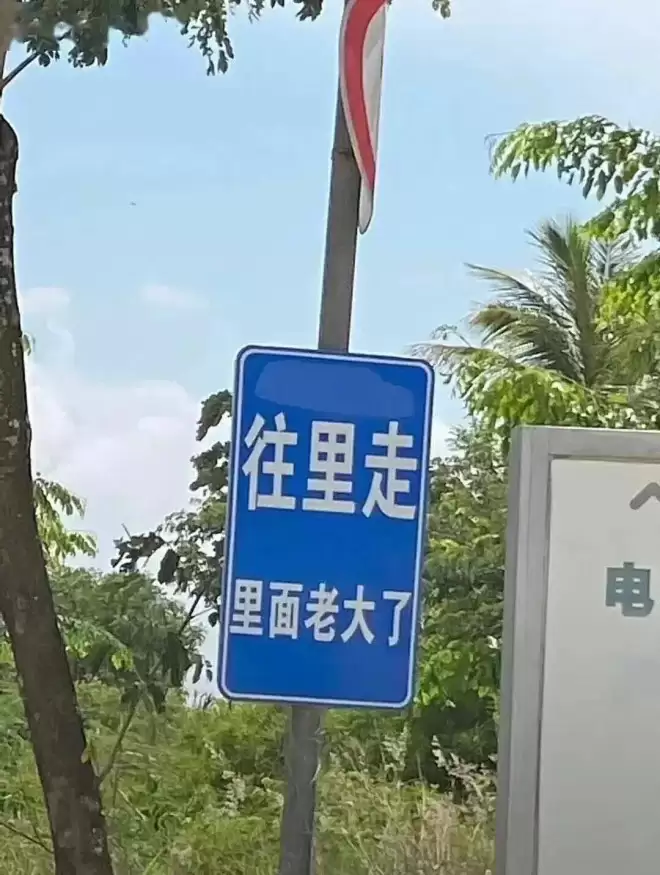 中国东北人的宿命：离开东北