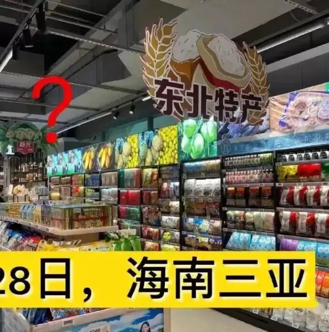 中国东北人的宿命：离开东北