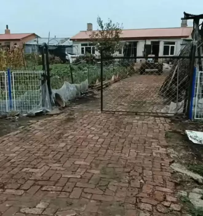中国东北人的宿命：离开东北