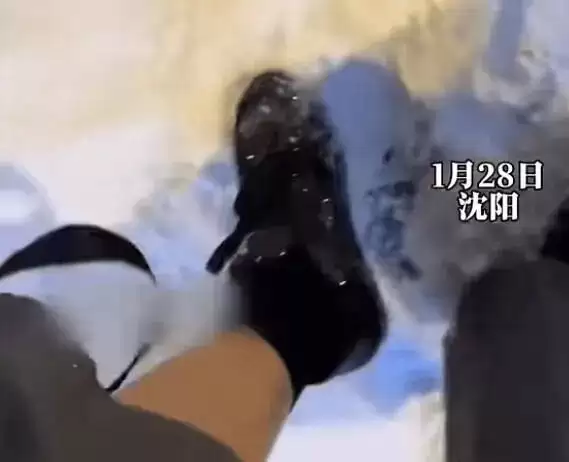 中国东北人的宿命：离开东北