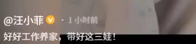 汪小菲官宣三胎出生：晒马筱梅与儿子合照