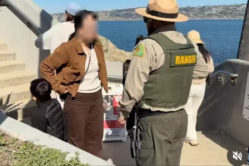 中国孩童朝海狮丢沙石 不理巡逻员多次劝阻 全家被驱离拉荷亚湾