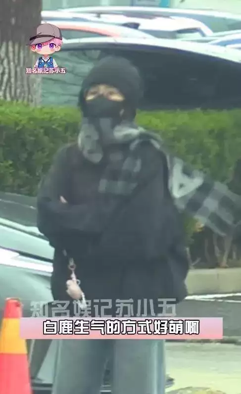 狂粉跟车甩不掉 白鹿索性下车“正面对决”