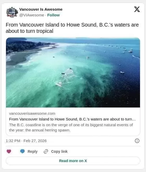 惊艳太空！BC省海水变"热带蓝"，这场自然盛事太美了