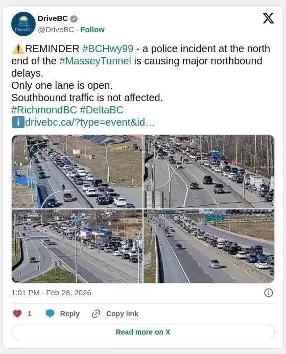 像拍电影大片！警方在隧道口抓捕嫌犯 交通瘫痪数小时