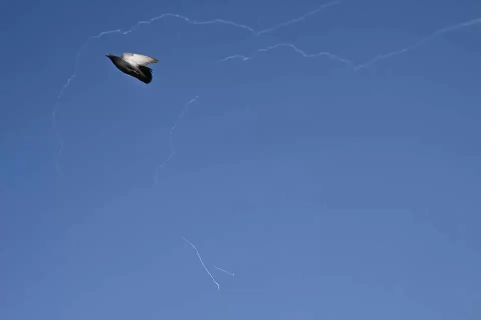 导弹划过迪拜夜空：中国出海人第一次直面战争