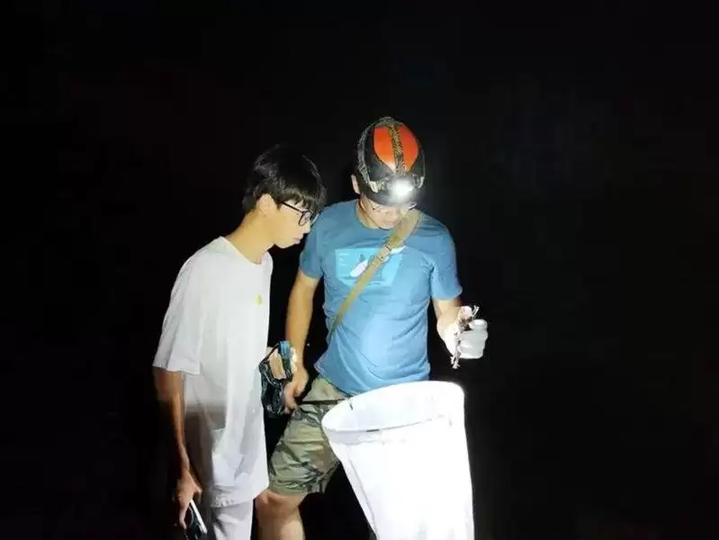 浙江17岁学生揭“筷子蛇”新物种 论文登SCI