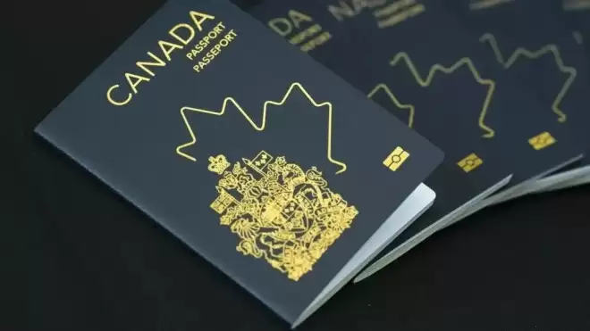 美国人排队“认祖归宗”！申请量暴涨3000%，几十万人抢加国护照！