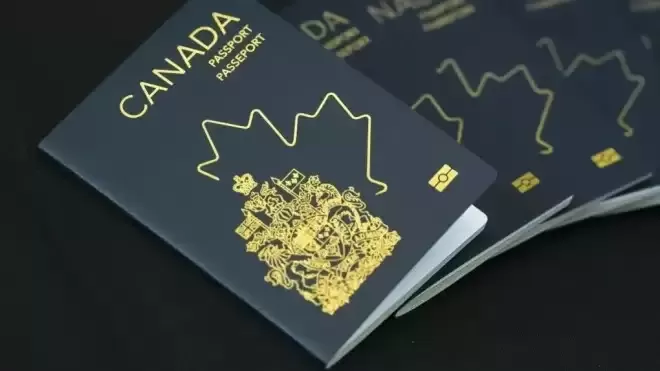 美国人排队“认祖归宗”！申请量暴涨3000%，几十万人抢加国护照！