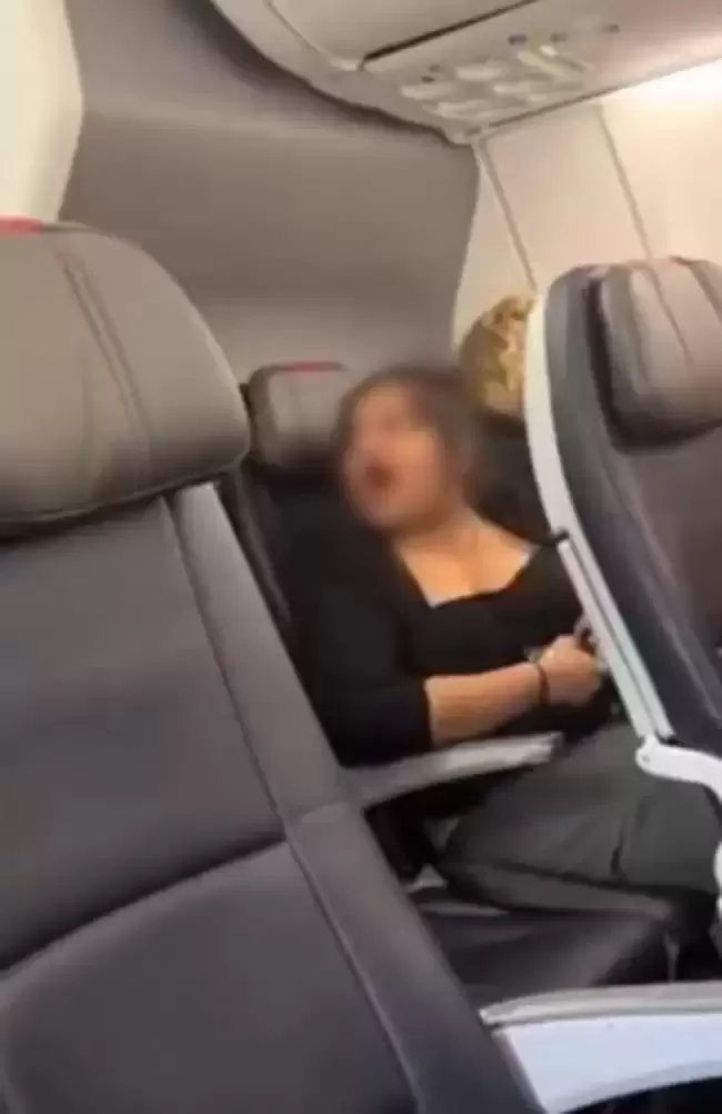 女子手机开扩音拒戴耳机狂骂空服员 被赶落飞机乘客“鼓掌欢送”