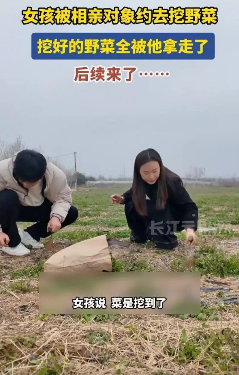 陕西女精心打扮去相亲 被拉去挖野菜 网友：男凭实力单身
