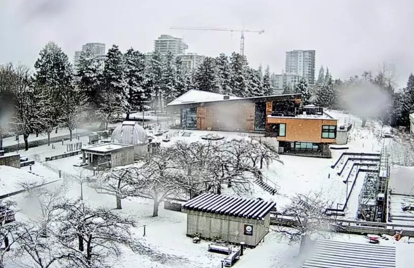 本拿比白雪皑皑 &nbsp;为何环境部仍认定大温今冬未下雪？