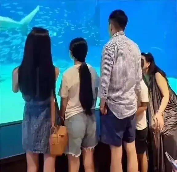 大S走后一年多，终于看懂徐家：可怜之人必有...