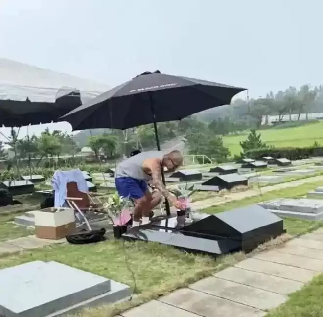 大S走后一年多，终于看懂徐家：可怜之人必有...