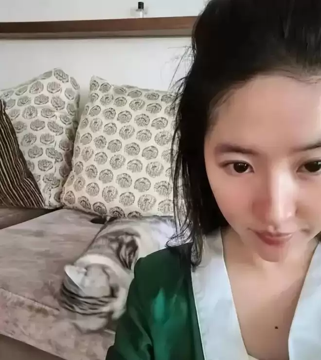 瞒不住了!刘亦菲当前感情状况曝光,蹲守半年的狗仔说出大实话