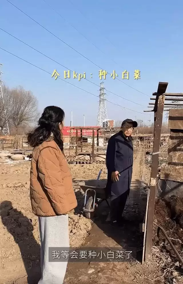 梅婷一家北京住大别墅还种地,和73岁公公种菜,相处和谐如亲父女