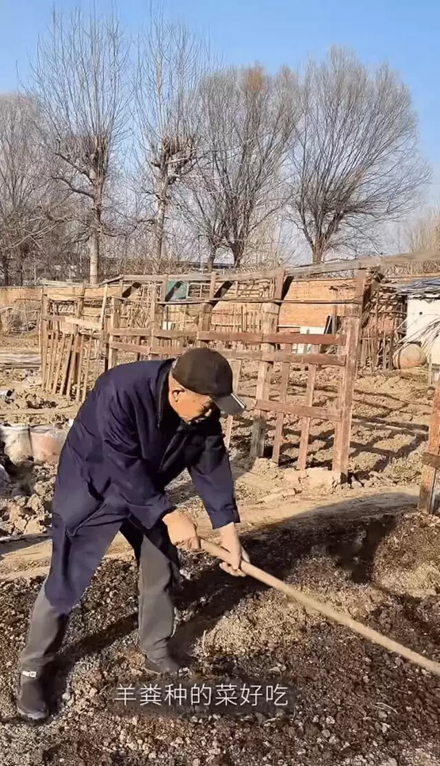 梅婷一家北京住大别墅还种地,和73岁公公种菜,相处和谐如亲父女