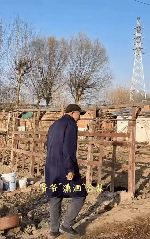 梅婷一家北京住大别墅还种地,和73岁公公种菜,相处和谐如亲父女