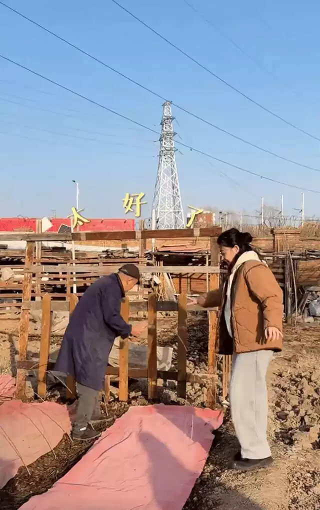 梅婷一家北京住大别墅还种地,和73岁公公种菜,相处和谐如亲父女