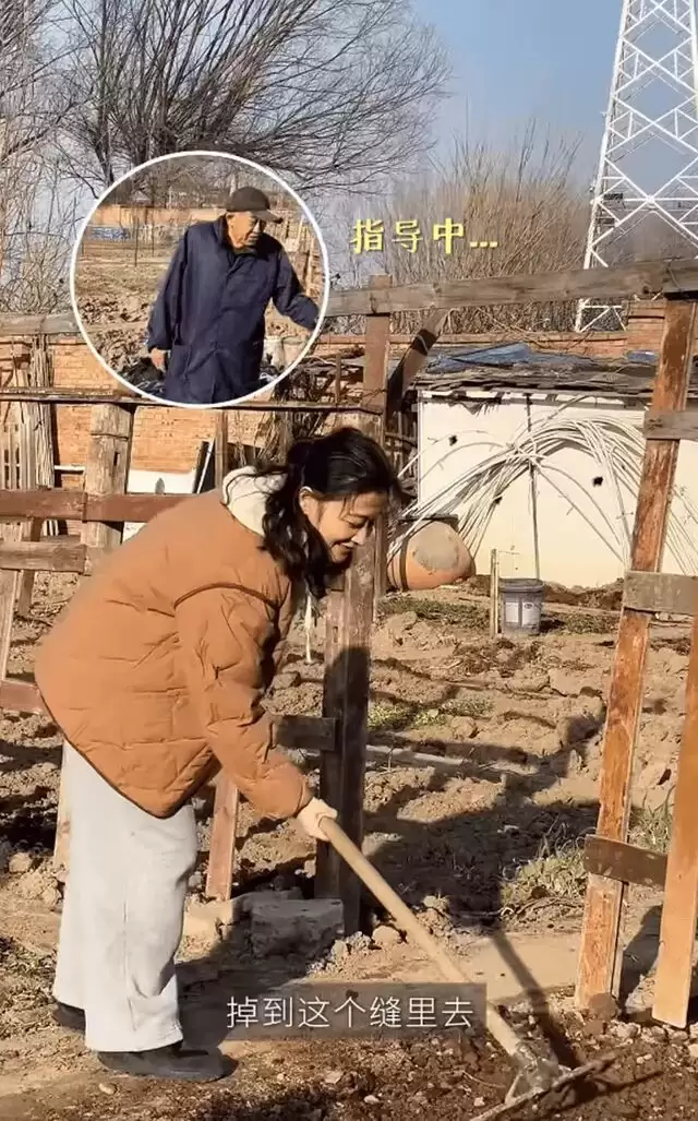 梅婷一家北京住大别墅还种地,和73岁公公种菜,相处和谐如亲父女