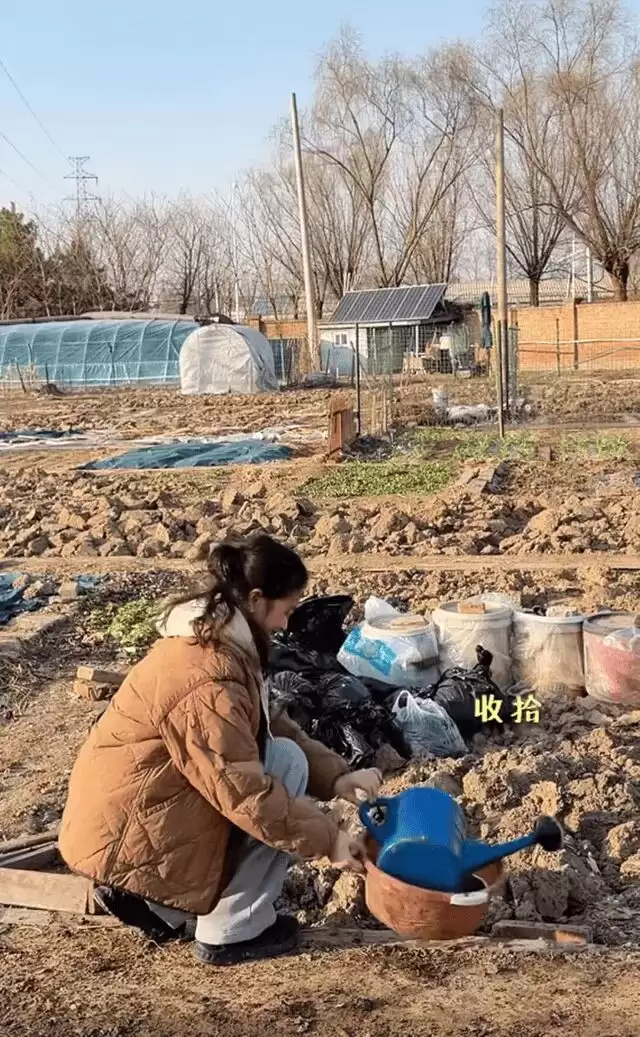 梅婷一家北京住大别墅还种地,和73岁公公种菜,相处和谐如亲父女