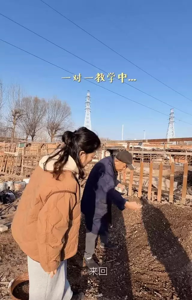 梅婷一家北京住大别墅还种地,和73岁公公种菜,相处和谐如亲父女
