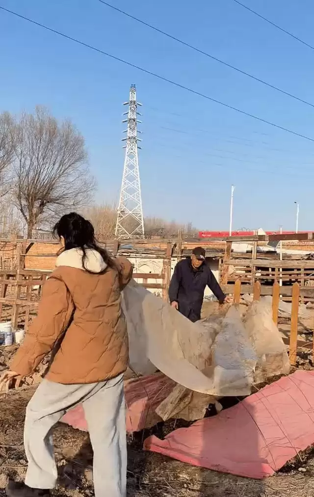 梅婷一家北京住大别墅还种地,和73岁公公种菜,相处和谐如亲父女