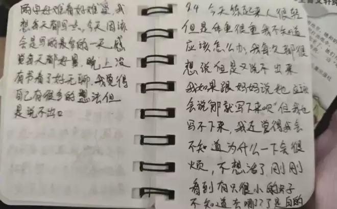跳楼的女子冠军，到底经历了什么....