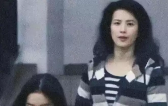 刘亦菲母亲刘晓莉：今66岁仍单身，长得比女儿还漂亮