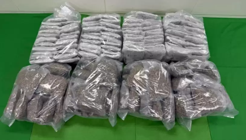 桌球枱制暗格 2200万元大麻花加拿大偷运香港 跨国搬屋公司被利用