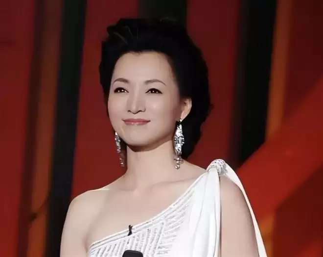 董卿老公密春雷争议已有4年,董卿过年时现身,面容憔悴不复以往