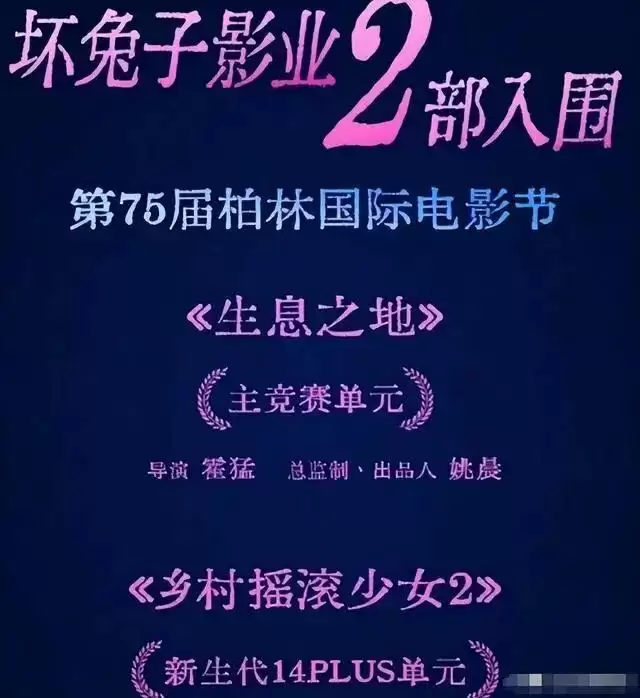 深扒姚晨的资产，布局多年，她的商业帝国，远比她离婚更让人惊讶