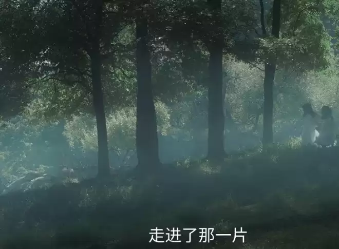 不硬演不扮嫩!倪妮给内娱上了一课,这才是能打动观众的真正少女