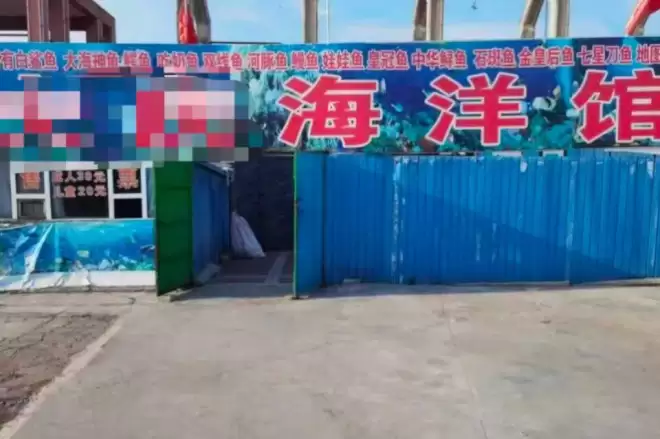 县城中产，养活了多少“盗版”迪士尼