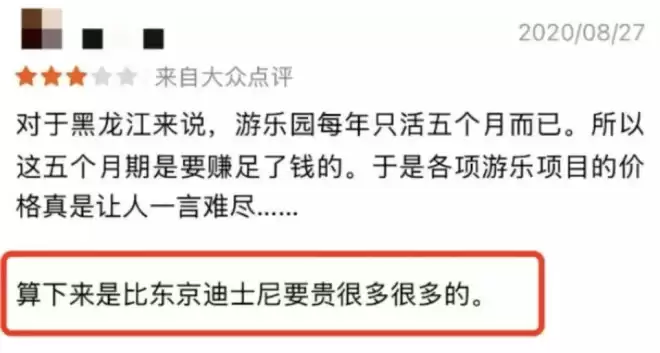 县城中产，养活了多少“盗版”迪士尼