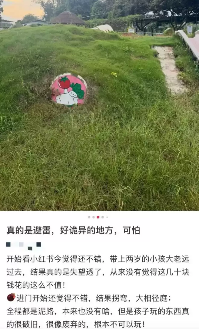 县城中产，养活了多少“盗版”迪士尼