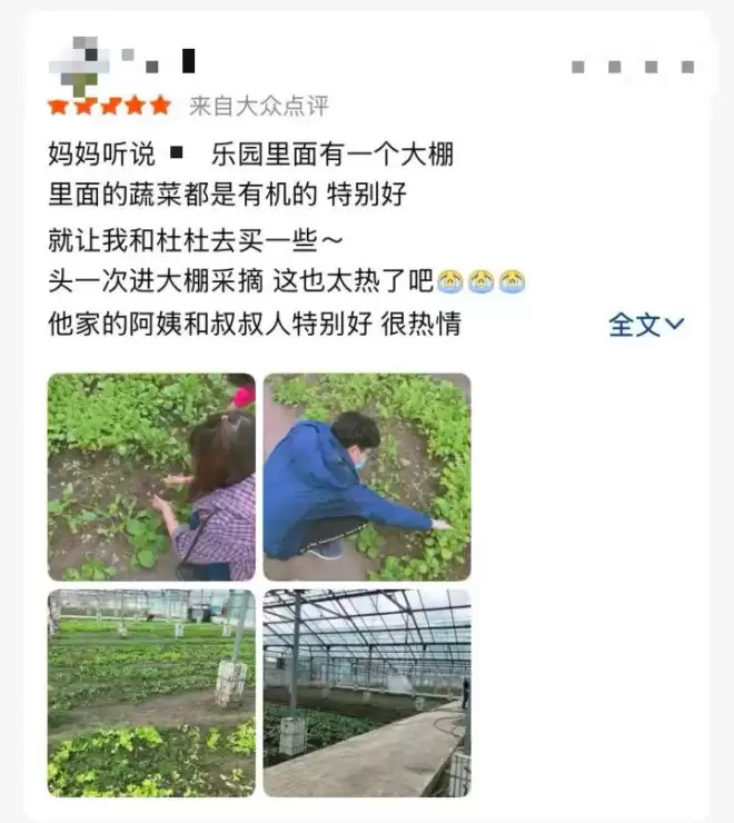 县城中产，养活了多少“盗版”迪士尼